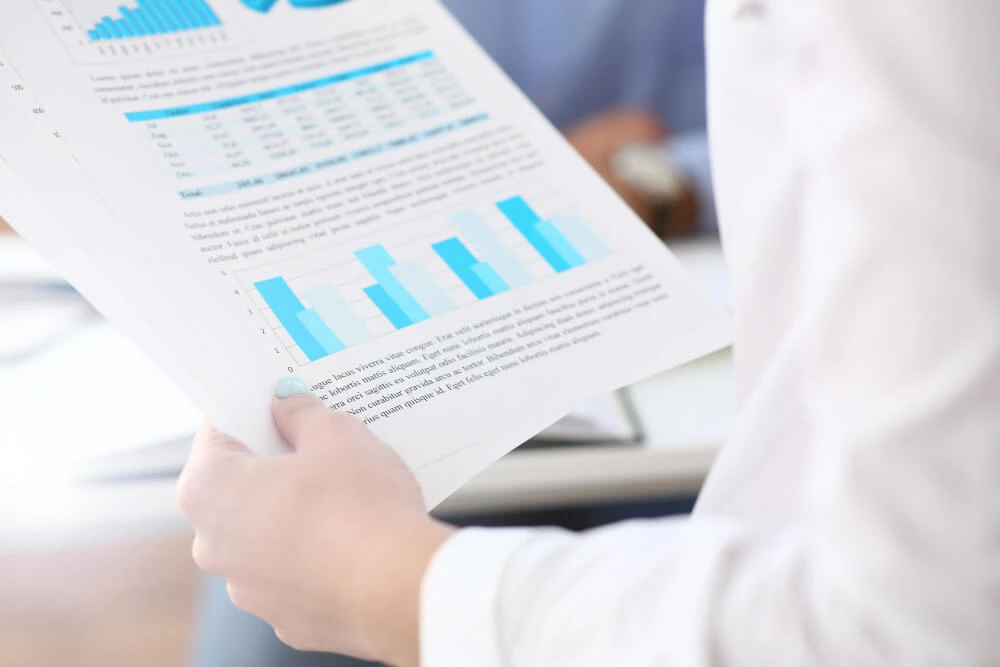 מזה דו״ח רווח והפסד?